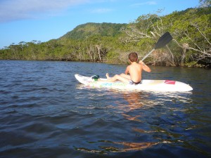 anton sort de la mangrove