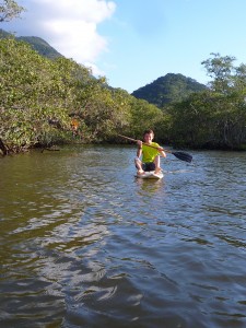 step sort de la Mangrove